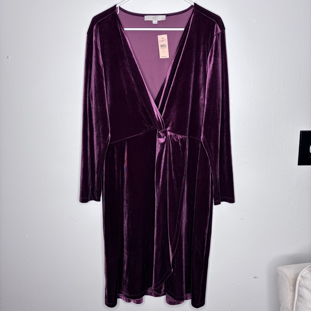 Loft Women’s Velvet Dress